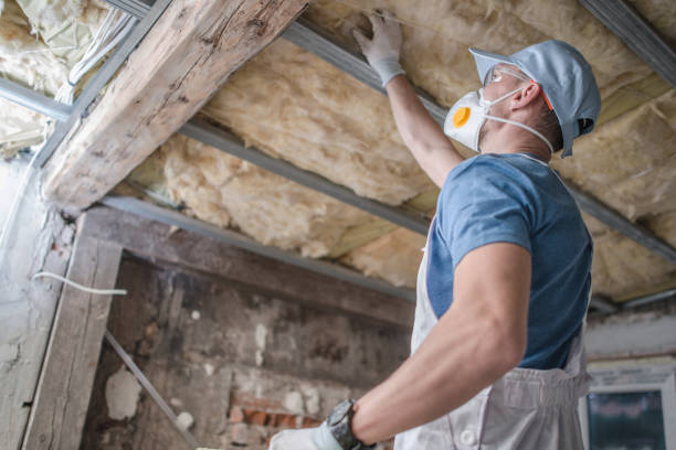 Best Insulation Contractors for Homes  in Grosse Pointe Woods, MI
