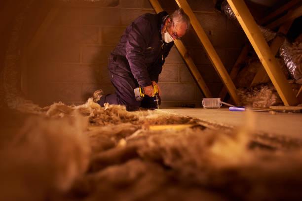 Best Best Insulation Companies  in Grosse Pointe Woods, MI