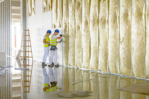 Best Energy-efficient Insulation  in Grosse Pointe Woods, MI